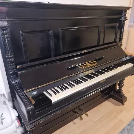 Armena Daire Saraybosna